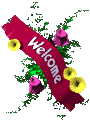 welcome to my vip-blog